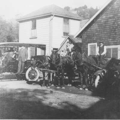 Stutt Dairy