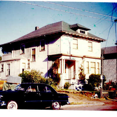 Stein House