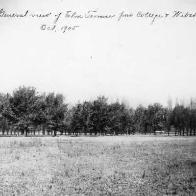 College and Webster, Elm Terrace