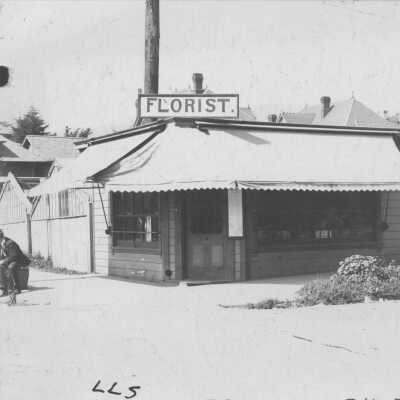 Cooke Nursery