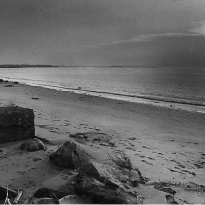 Shoreline