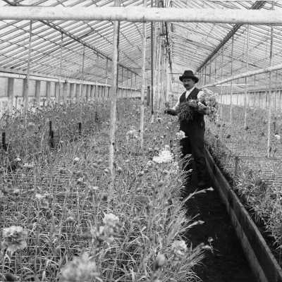 John Carbone In His Nursery