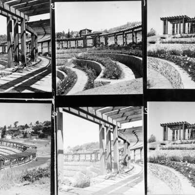Rose Garden, under construction