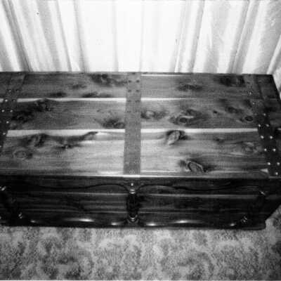 Grandin family trunk