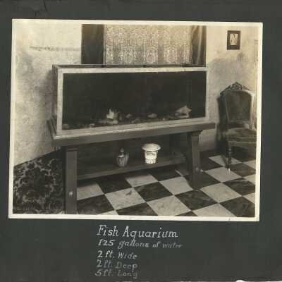 62: Photo of large aquarium. 