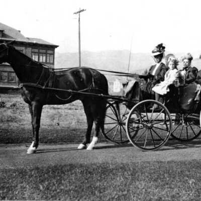 Westenberg Family