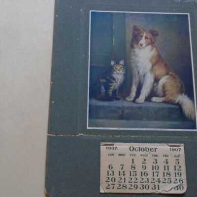 calendar