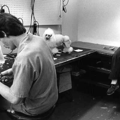Dog Grooming 4 of 5