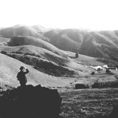 Strawberry Canyon, Such Diary