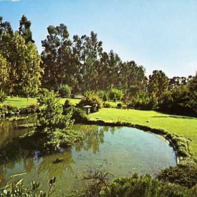 Heian Garden