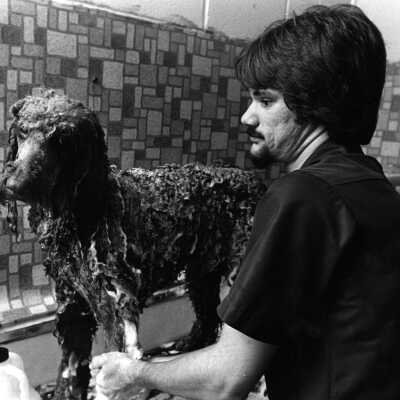 Shawne Stoddard Washes Dog