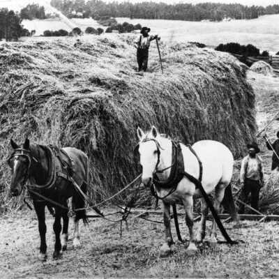 Davis Farm, plowing
