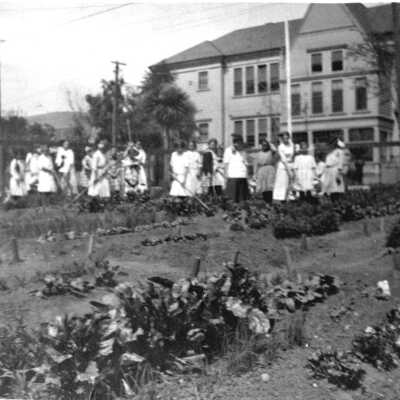 Whittier School vegetable garden