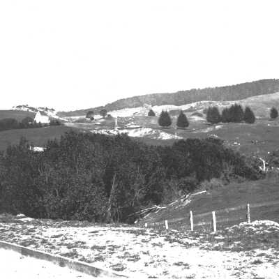 After Fill-in Codornices. Ashton home in distance