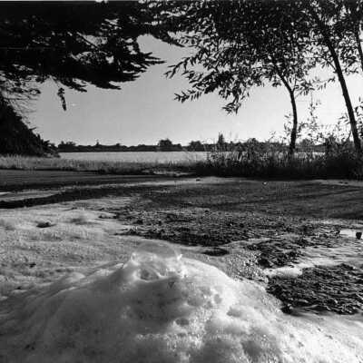 Aquatic Park