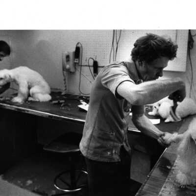 Mike Anthony and Wayne Williams grooming dogs