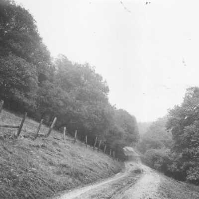 Road - Strawberry Canyon