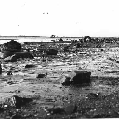 Tidelands