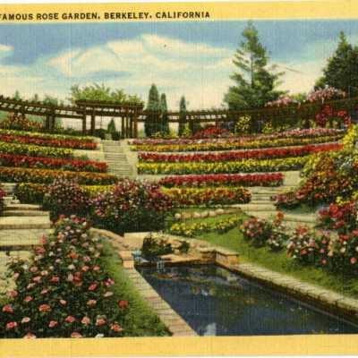 Berkeley's Famous Rose Garden, Berkeley, California