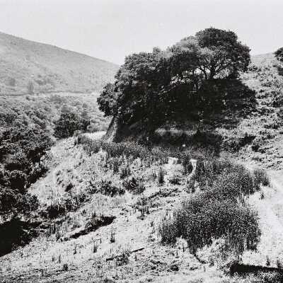 Berkeley Hills