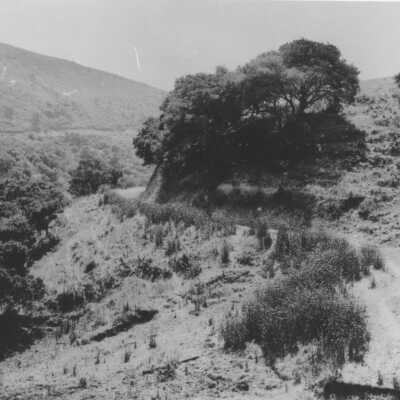 Strawberry Creek, Dirt Road