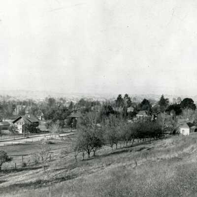 Fields, Houses