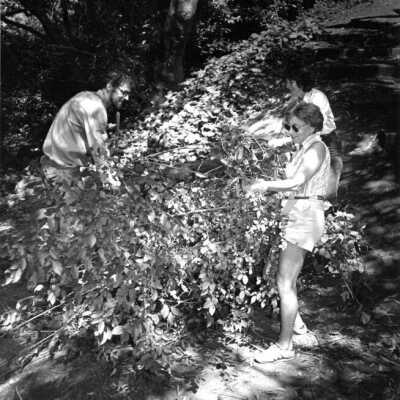 Cordonices Park - Clean Up