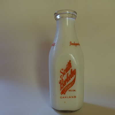 Milk Bottle