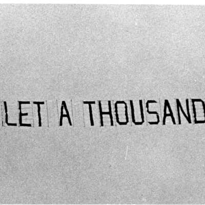 Let a Thousand Parks Bloom