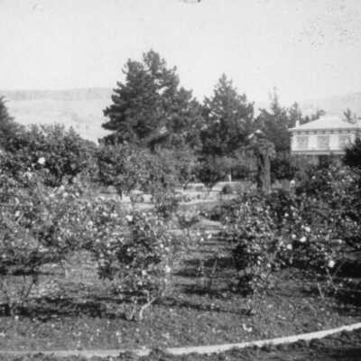 Byrne House and Grounds, 1895