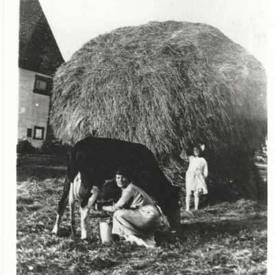 Ida Lundgren milking cow at residence, 2344 Curtis Street.
