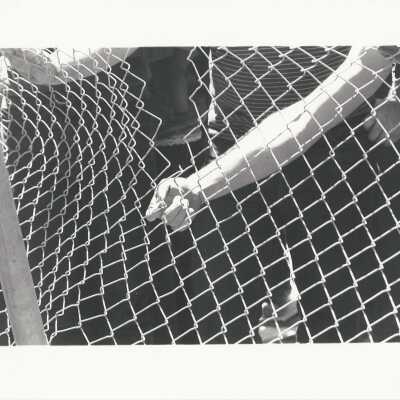 Cutting down the fence around People's Park