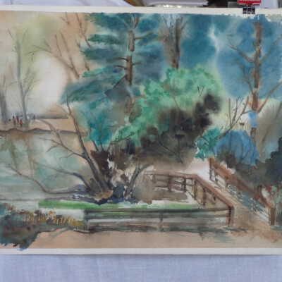 Woodland scene