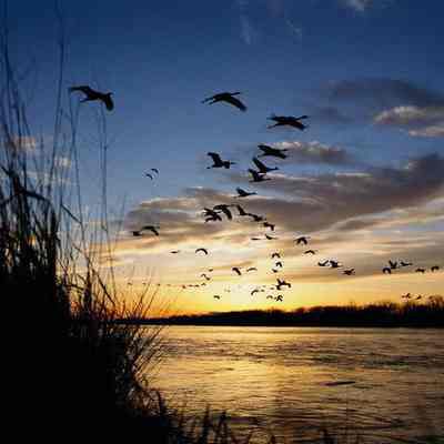 Evening Passage