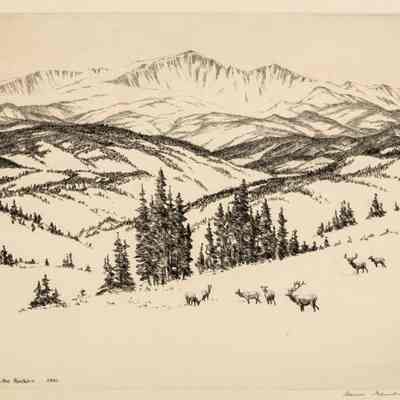 Snow in the Rockies
