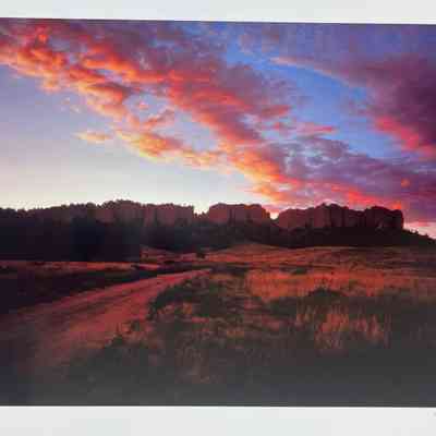 Pine Ridge