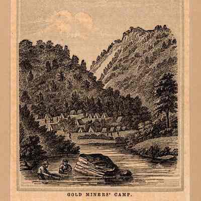 Goldminer's Camp