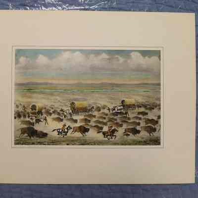 Buffalo Stampede, Neb