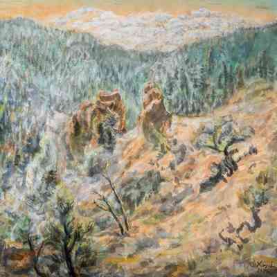 Rocks & Trees