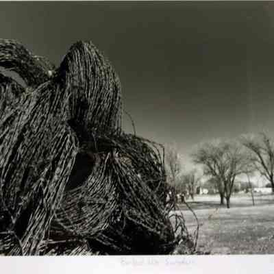 Barbed Wire Sculpture