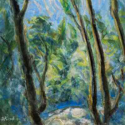Eucalyptus Trees from Turnbulls' Steps - Manoa Oahu Valley, Honolulu