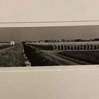 Fort Kearney Road Farm '95