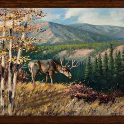Rock Creek - Muley Country