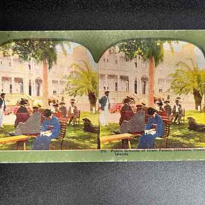 273. Public Gardens of Iolani Palace, Honolulu, Hawaiian Islands.