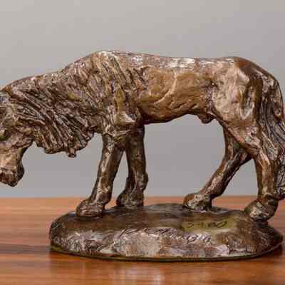 Indian Horse (Cayuse)