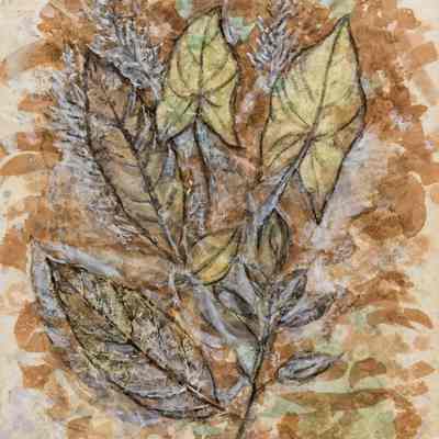 Leaf Pattern