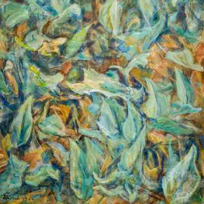 Wild Gourd-Leaves & Vines