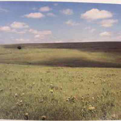 Rolling Plains, Bernard Ranch, Pawhuska, OK