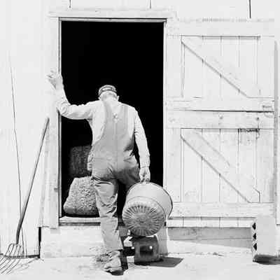 Ellis Bockelman
