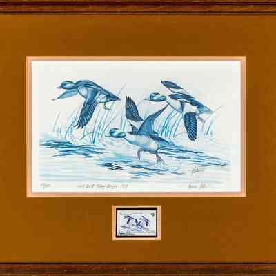 Iowa Duck Stamp Design - 1979